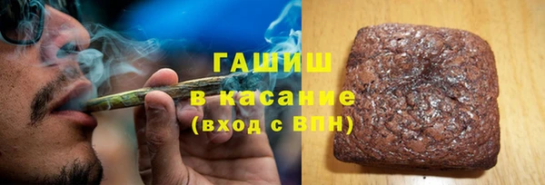 индика Алзамай