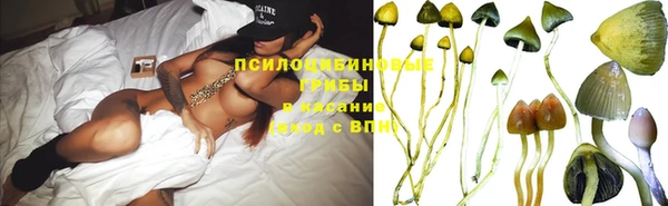 индика Алзамай