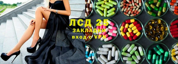 индика Алзамай
