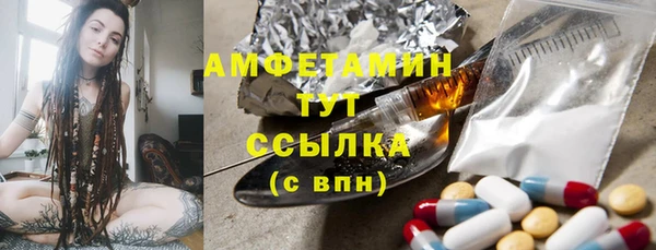 индика Алзамай