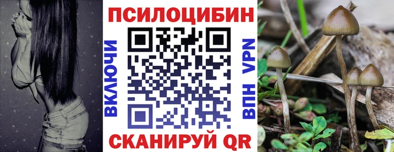 Галлюциногенные грибы мухоморы Миньяр